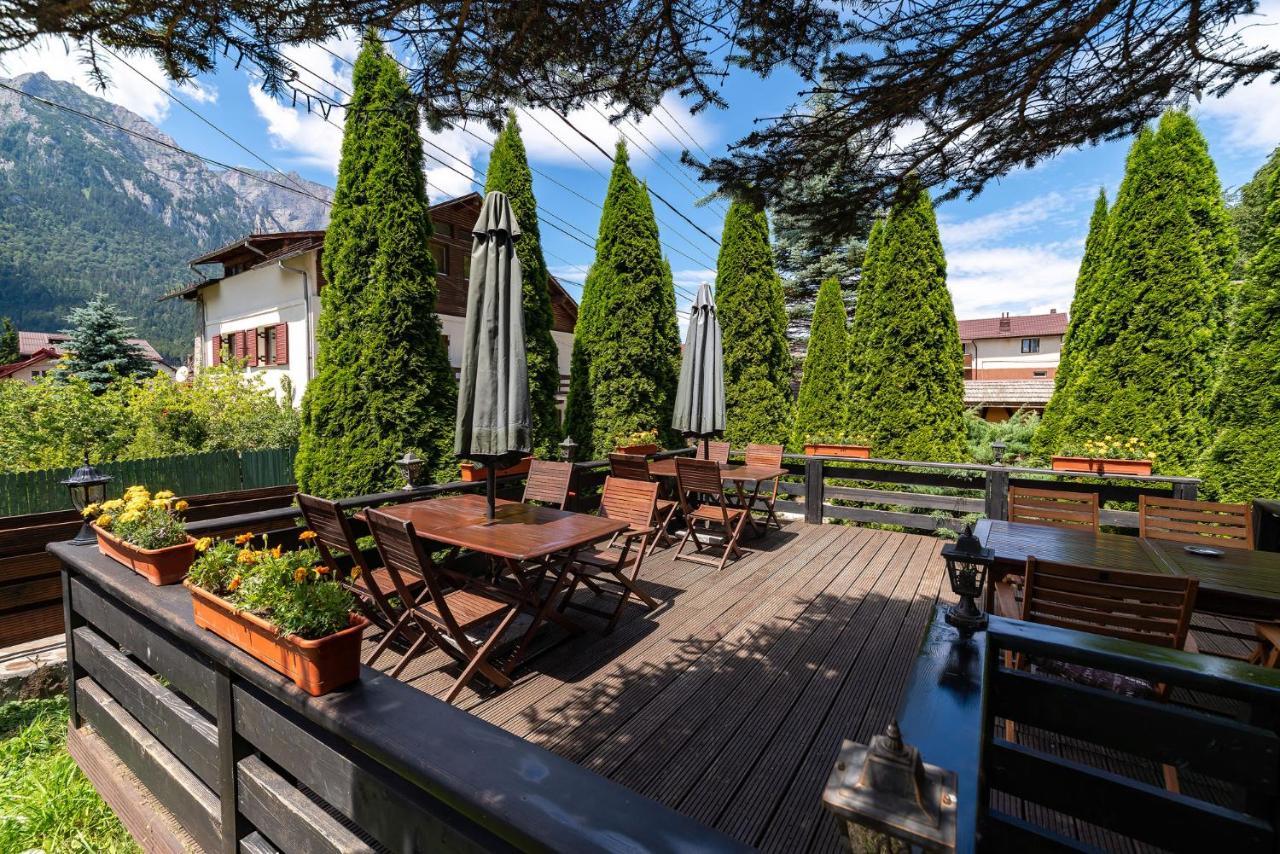 Casa Freya Hotel Buşteni Buitenkant foto