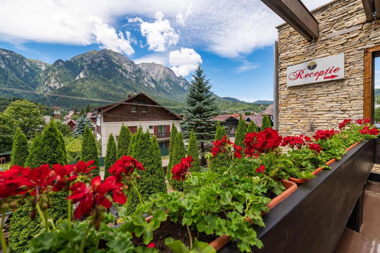 Casa Freya Hotel Buşteni Buitenkant foto
