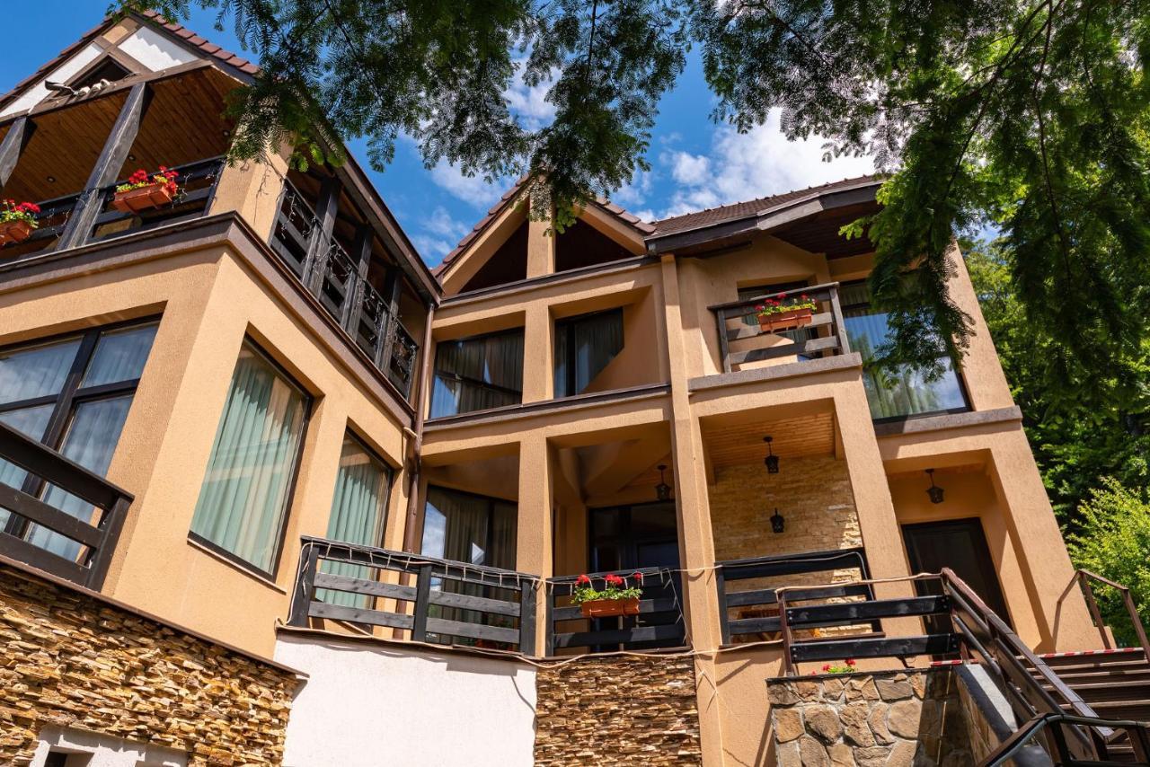Casa Freya Hotel Buşteni Buitenkant foto